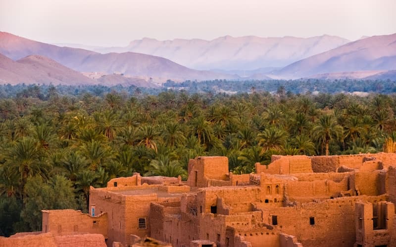 חשפניות בבאר שבע - בידור VIP בדרום